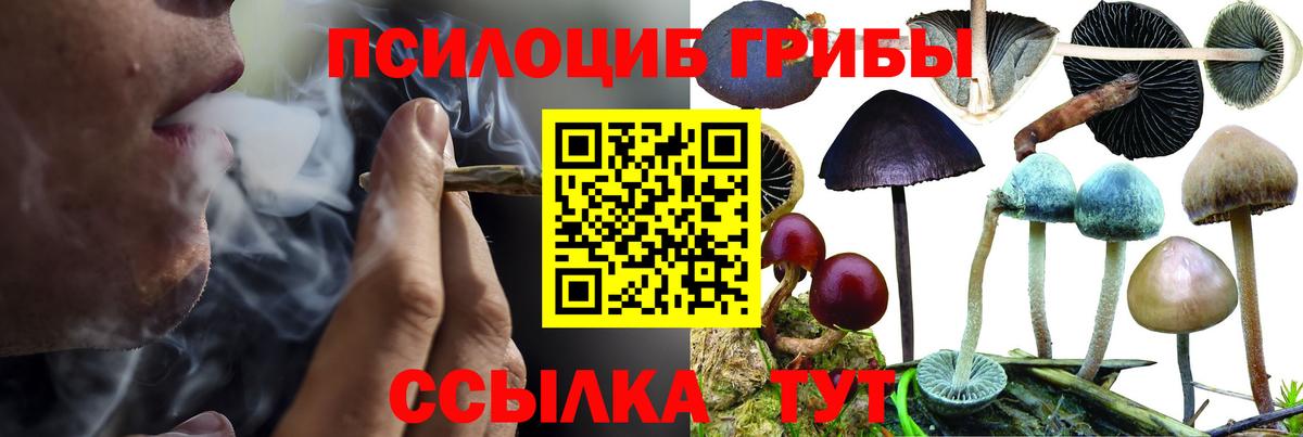 Галлюциногенные грибы мицелий  Вход с VPN  дарнет шоп  Карпинск 